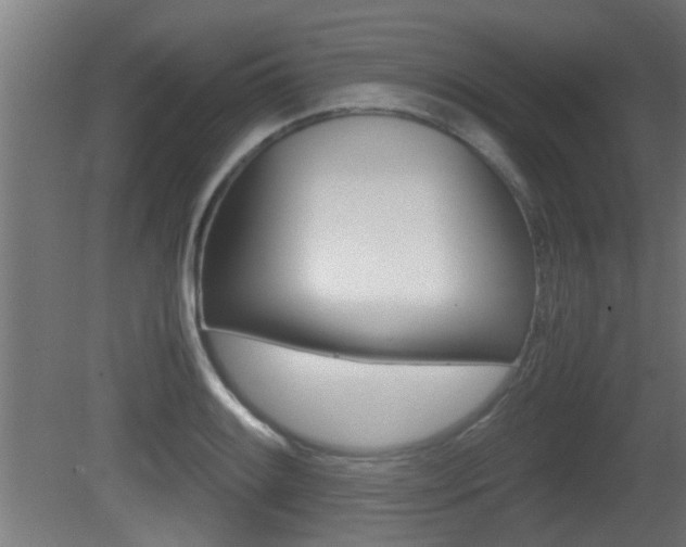 X0000081311084200701110956