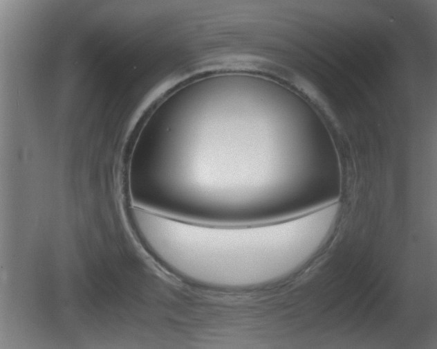 X0000081311085200701110956