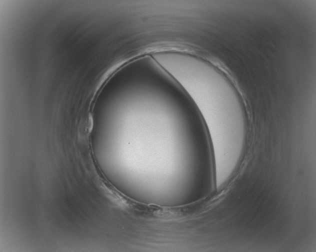 X0000081311089200701110956