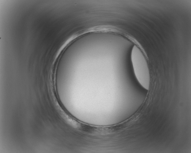 X0000081311091200701110956
