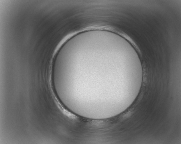X0000081311094200701110956