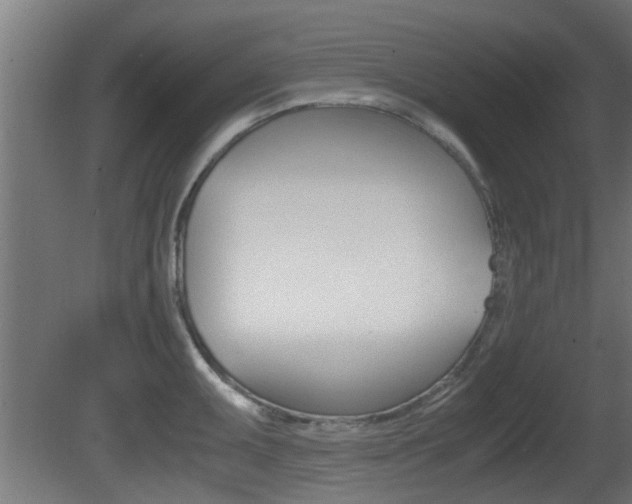 X0000081311095200701110956