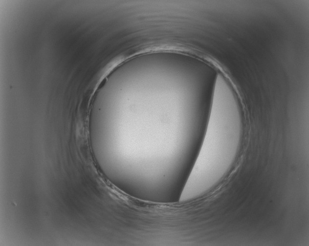 X0000081311097200701110956