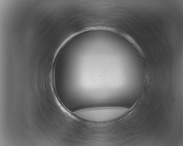 X0000081311100200701110956