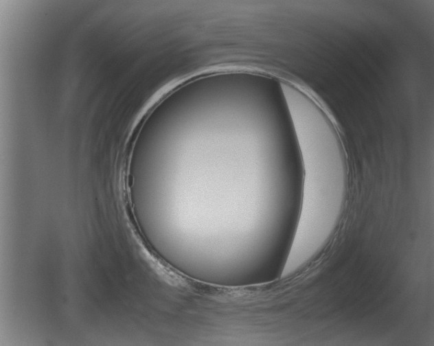 X0000081311101200701110956