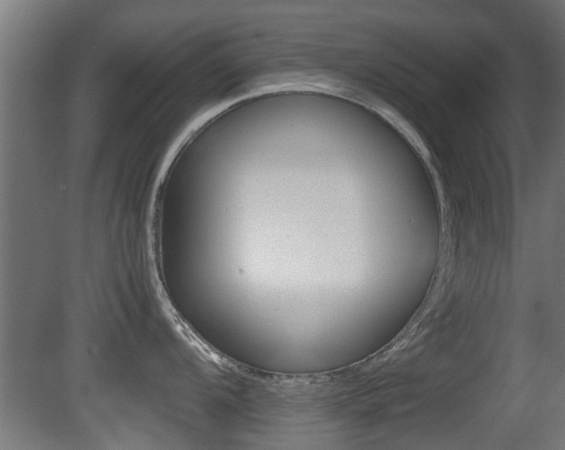 X0000081311104200701110956