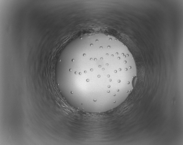 X0000081311105200701110955