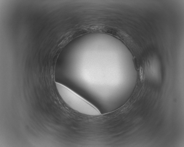X0000081311107200701110955