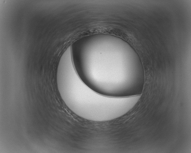 X0000081311109200701110955