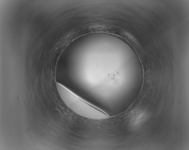 X0000081311111200701110955