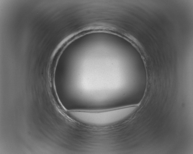 X0000081311120200701110955