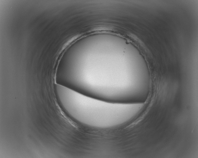 X0000081311121200701110955