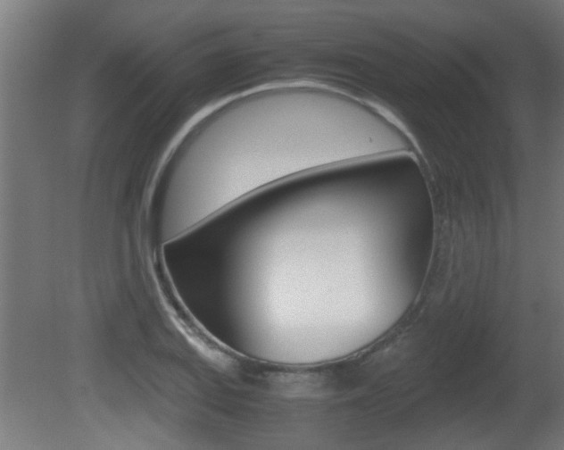 X0000081311127200701110955