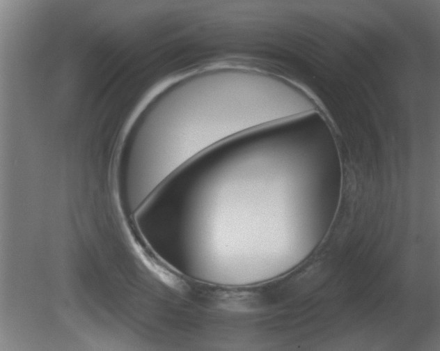 X0000081311131200701110955