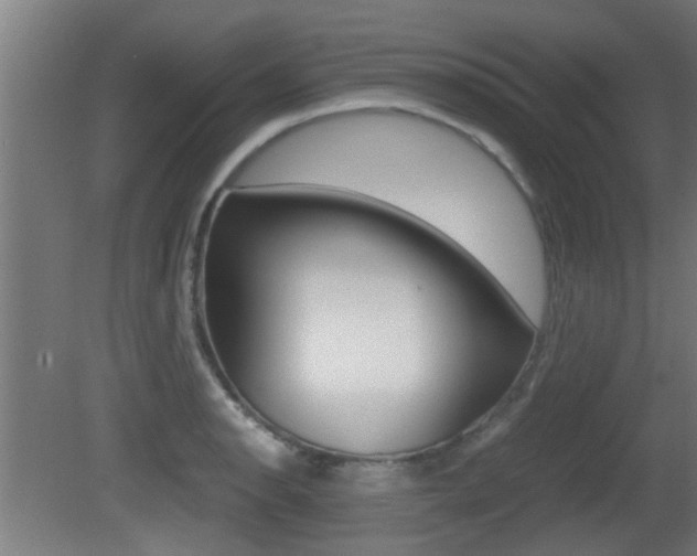 X0000081311134200701110955