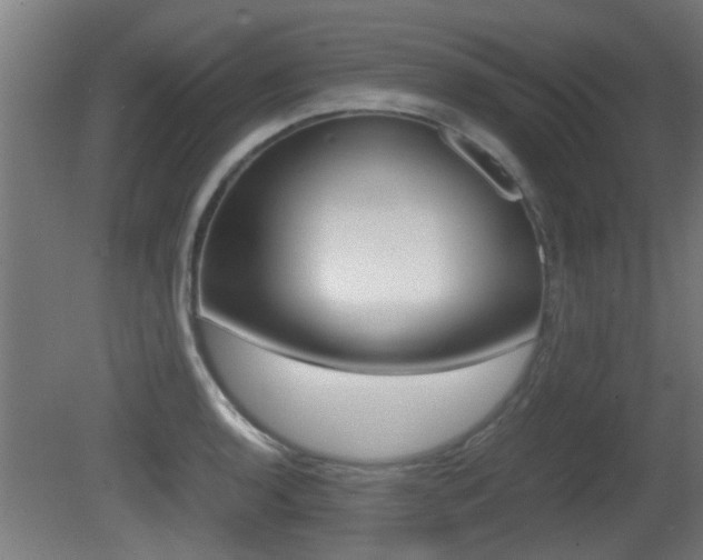 X0000081311136200701110955