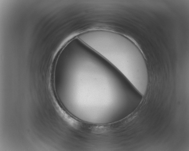 X0000081311139200701110955