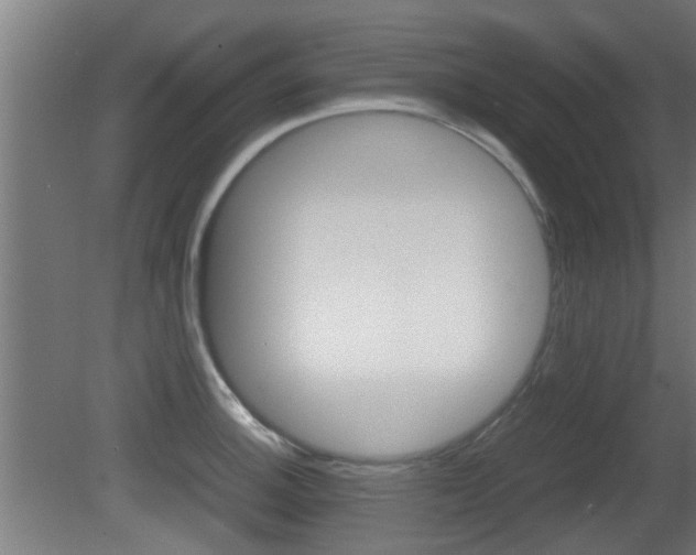 X0000081311140200701110955
