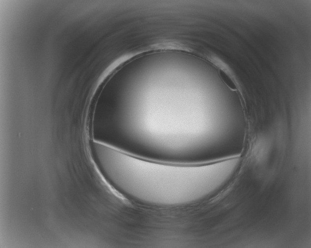 X0000081311141200701110955