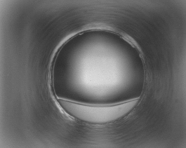 X0000081311144200701110956