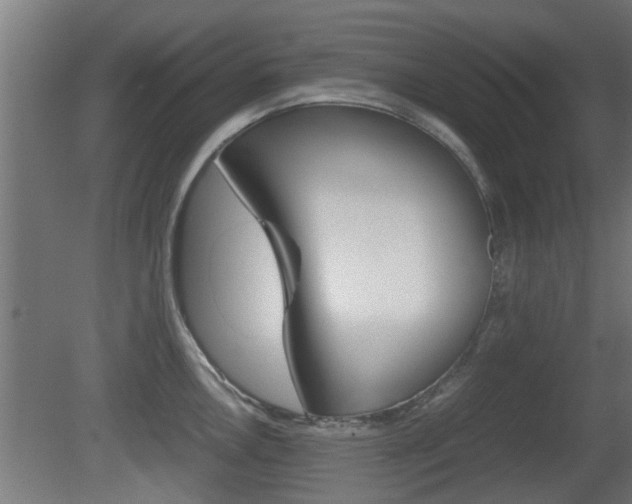 X0000081311146200701110956