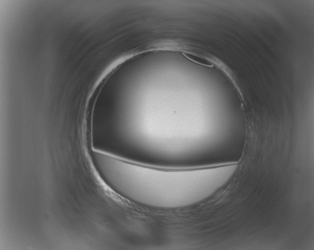 X0000081311147200701110956