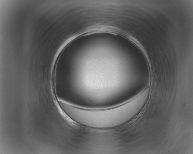 X0000081311152200701110956