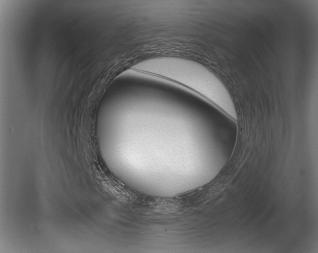 X0000081311153200701110955