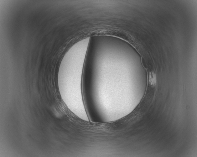 X0000081311155200701110955