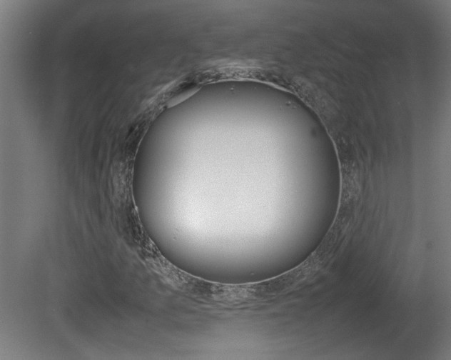 X0000081311157200701110955