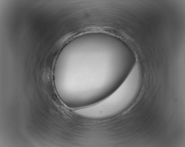 X0000081311161200701110955