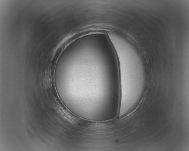 X0000081311164200701110955