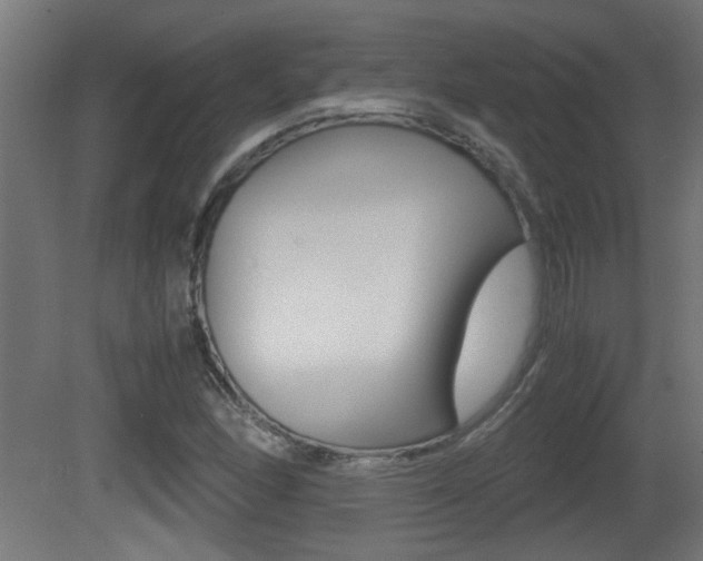 X0000081311166200701110955
