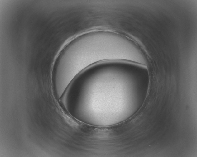 X0000081311168200701110955