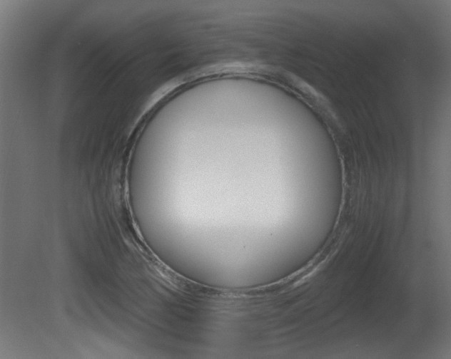 X0000081311170200701110955
