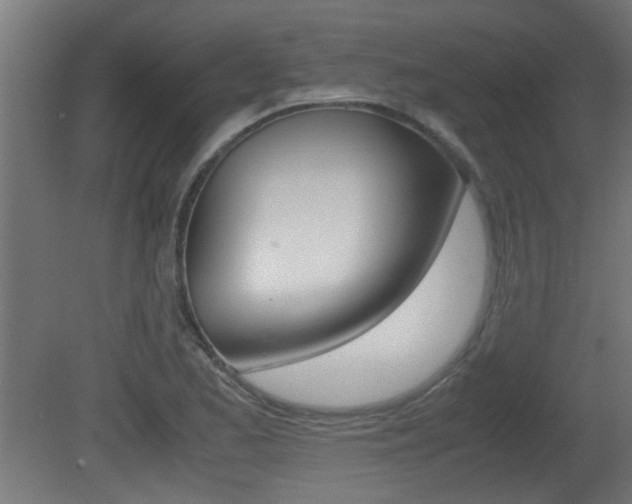 X0000081311173200701110955