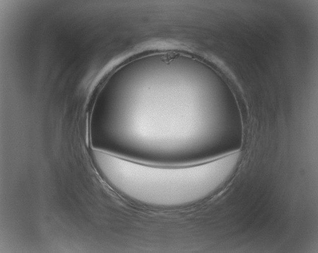 X0000081311175200701110954