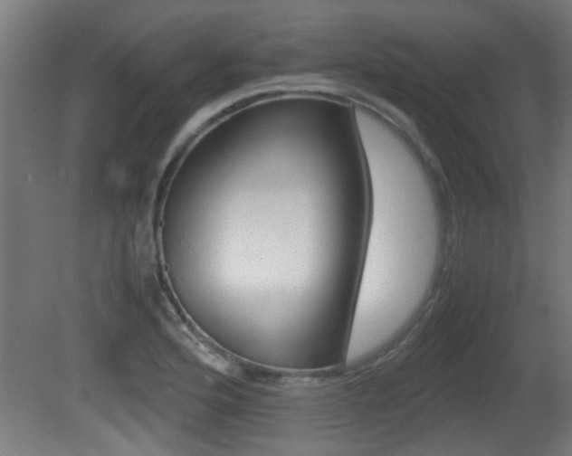 X0000081311176200701110954