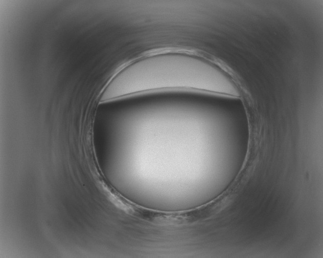 X0000081311185200701110954