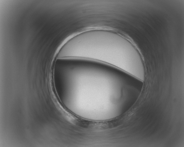 X0000081311187200701110954