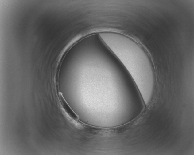 X0000081311189200701110954