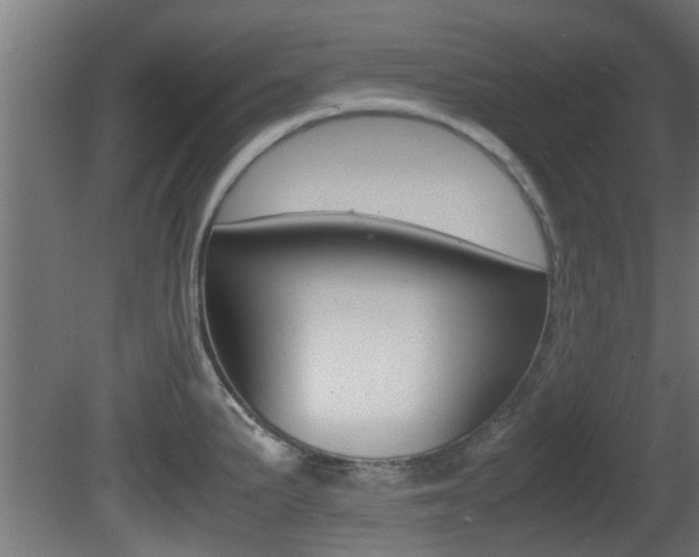 X0000081311191200701110954