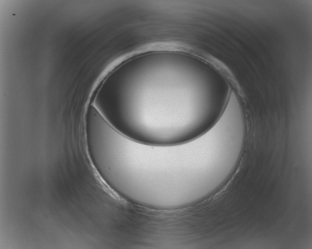 X0000081311192200701110954