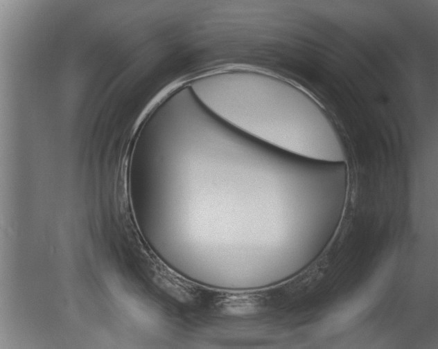 X0000081311198200701110954