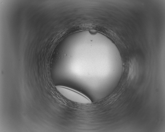 X0000081311201200701110953