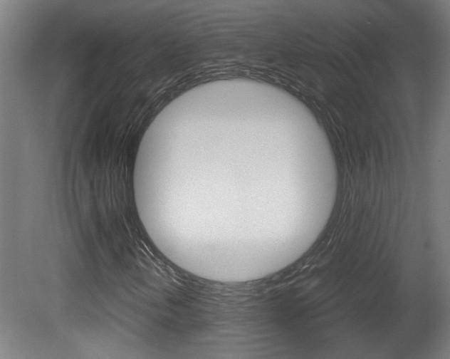 X0000081311202200701110953