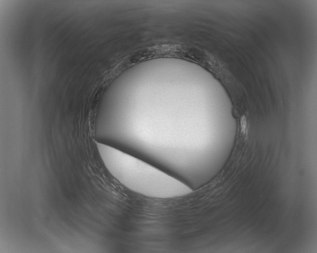 X0000081311203200701110953