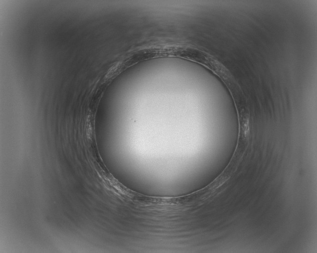 X0000081311204200701110953