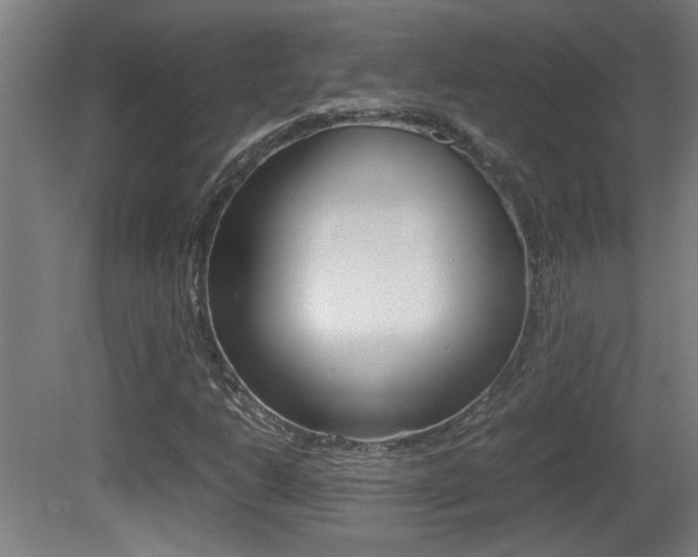 X0000081311206200701110953