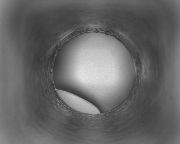 X0000081311207200701110953
